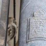 sicialia-ADN