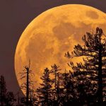 981478-supermoon.jpg